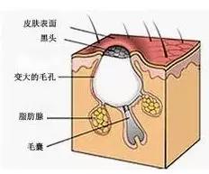 微信圖片_20191021103528.jpg